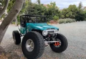 2015 Toyota FJ40 Buggy